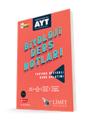 media.product.imagealternatetextformat